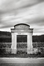 Latricieres Chambertin 6099-2.jpg